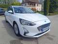 Ford Focus 125 CH ECOBOOST TITANIUM société Blanc - thumbnail 3