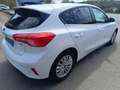 Ford Focus 125 CH ECOBOOST TITANIUM société Blanc - thumbnail 4