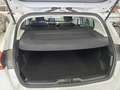 Ford Focus 125 CH ECOBOOST TITANIUM société Blanc - thumbnail 10