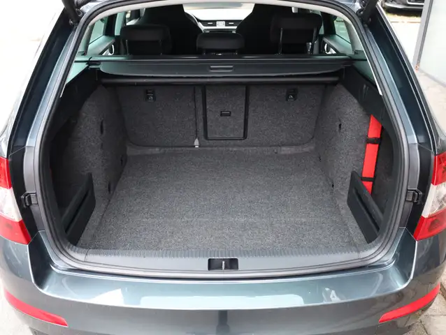 Skoda Octavia view 13