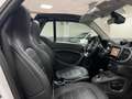 smart forTwo 70 1.0 twinamic cabrio Passion Wit - thumbnail 15