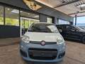 Fiat Panda 1.2 Pop BLANCO/AW-Reifen/1.Hand Weiß - thumbnail 4