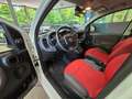 Fiat Panda 1.2 Pop BLANCO/AW-Reifen/1.Hand Weiß - thumbnail 20