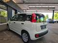 Fiat Panda 1.2 Pop BLANCO/AW-Reifen/1.Hand Weiß - thumbnail 12