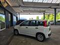 Fiat Panda 1.2 Pop BLANCO/AW-Reifen/1.Hand Weiß - thumbnail 14