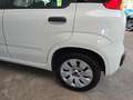 Fiat Panda 1.2 Pop BLANCO/AW-Reifen/1.Hand Weiß - thumbnail 24