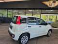 Fiat Panda 1.2 Pop BLANCO/AW-Reifen/1.Hand Weiß - thumbnail 13