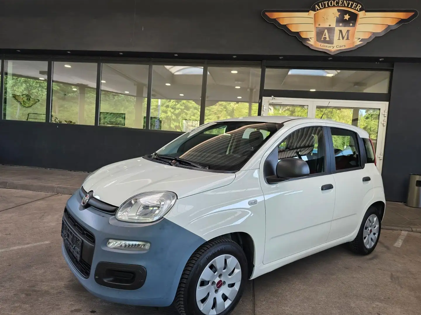 Fiat Panda 1.2 Pop BLANCO/AW-Reifen/1.Hand Weiß - 1