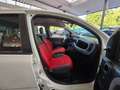 Fiat Panda 1.2 Pop BLANCO/AW-Reifen/1.Hand Weiß - thumbnail 19