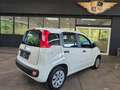 Fiat Panda 1.2 Pop BLANCO/AW-Reifen/1.Hand Weiß - thumbnail 8