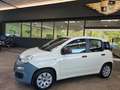 Fiat Panda 1.2 Pop BLANCO/AW-Reifen/1.Hand Weiß - thumbnail 6