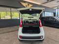 Fiat Panda 1.2 Pop BLANCO/AW-Reifen/1.Hand Weiß - thumbnail 27