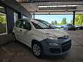 Fiat Panda 1.2 Pop BLANCO/AW-Reifen/1.Hand Weiß - thumbnail 5