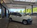 Fiat Panda 1.2 Pop BLANCO/AW-Reifen/1.Hand Weiß - thumbnail 7