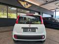 Fiat Panda 1.2 Pop BLANCO/AW-Reifen/1.Hand Weiß - thumbnail 11