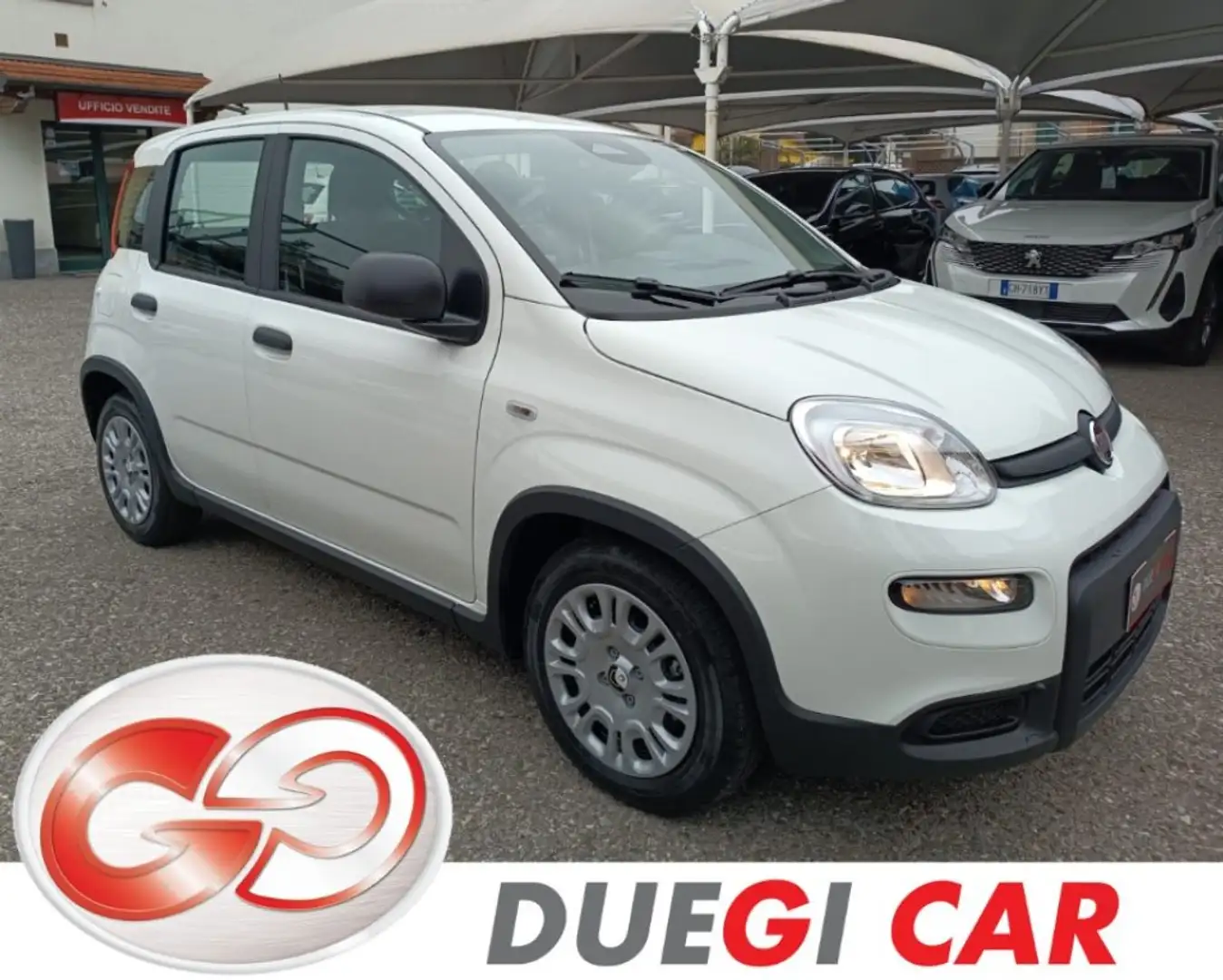 Fiat Panda 1.0 FireFly S&S Hybrid Pandina Bianco - 1