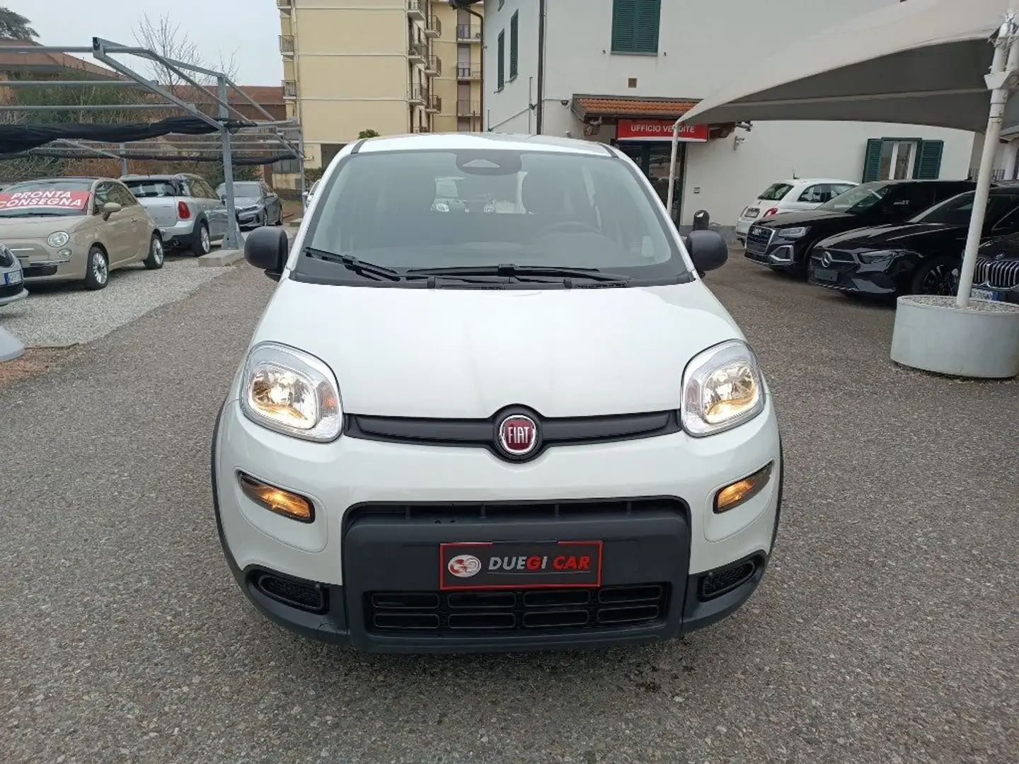 Fiat Panda 1.0 FireFly S&S Hybrid Pandina Bianco - 2