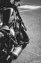 Honda CMX 500 Plus versione ABS Negro - thumbnail 5