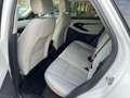 Land Rover Range Rover Evoque Range Rover Evoque 2.0d i4 mhev R  Awd 150cv auto - thumbnail 22
