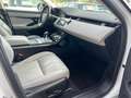 Land Rover Range Rover Evoque Range Rover Evoque 2.0d i4 mhev R  Awd 150cv auto - thumbnail 12