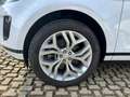 Land Rover Range Rover Evoque Range Rover Evoque 2.0d i4 mhev R  Awd 150cv auto - thumbnail 18