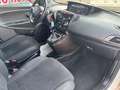 Lancia Ypsilon 1.2 BENZINA/GPL ORO Bianco - thumbnail 8