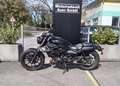 Kawasaki Eliminator 500 -- junge Gebrauchte -- Schwarz - thumbnail 2