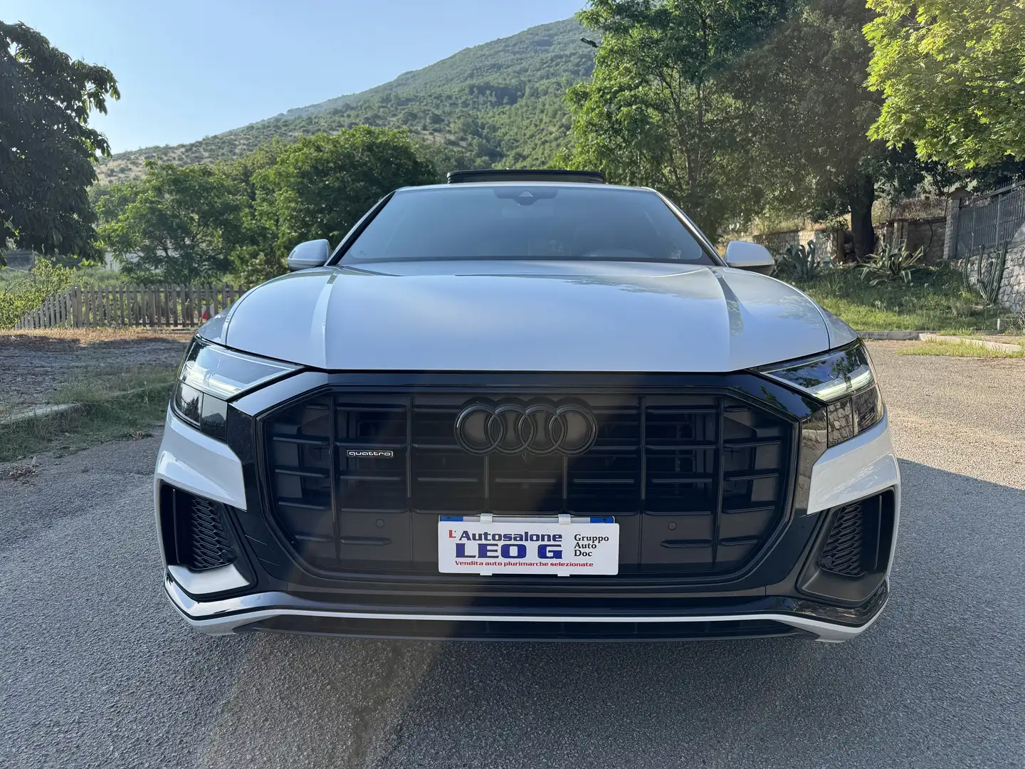 Audi Q8 50 3.0 TDI 286cv mhev Sport quattro S-Line..Tetto Blanc - 2