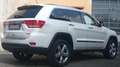 Jeep Grand Cherokee 3.0 CRD OVERLAND * TETTO * Wit - thumbnail 3