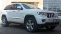 Jeep Grand Cherokee 3.0 CRD OVERLAND * TETTO * Wit - thumbnail 1