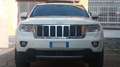 Jeep Grand Cherokee 3.0 CRD OVERLAND * TETTO * Wit - thumbnail 7