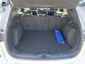 Ford Kuga 1.5 EcoBoost ST-Line X FWD 150 Blanco - thumbnail 5