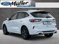 Ford Kuga ST-Line 1.5 EcoBoost Blanc - thumbnail 6