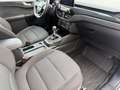 Ford Kuga ST-Line 1.5 EcoBoost Blanc - thumbnail 15