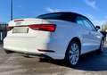 Audi A3 Cabriolet / 1.4 TFSI 115 CH S-Tronic 7 / Design Blanc - thumbnail 12