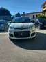 Fiat Panda 1.2 EasyPower Easy Bianco - thumbnail 2
