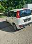 Fiat Panda 1.2 EasyPower Easy Bianco - thumbnail 8