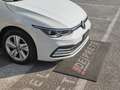 Volkswagen Golf VW Golf 8 TDI 150 CV DSG /Life, Cockpit, Tetto Bianco - thumbnail 9