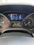 Ford Focus Cool Gris - thumbnail 10