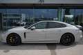 Porsche Panamera E-Hybrid Turbo S E-Hybrid | P-Dach | Soft-Close | Grau - thumbnail 3