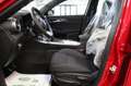 Alfa Romeo Tonale 1.6 D 130 CV TCT6 Sprint KM0 MY25 Rosso - thumbnail 9