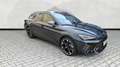 CUPRA Leon ST 2.0 TDI DSG Edge-Paket Supersport Kamera Grau - thumbnail 16