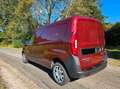 Fiat Doblo Cargo Maxi Professional Rot - thumbnail 2