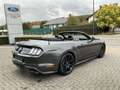 Ford Mustang EcoBoost Gris - thumbnail 4