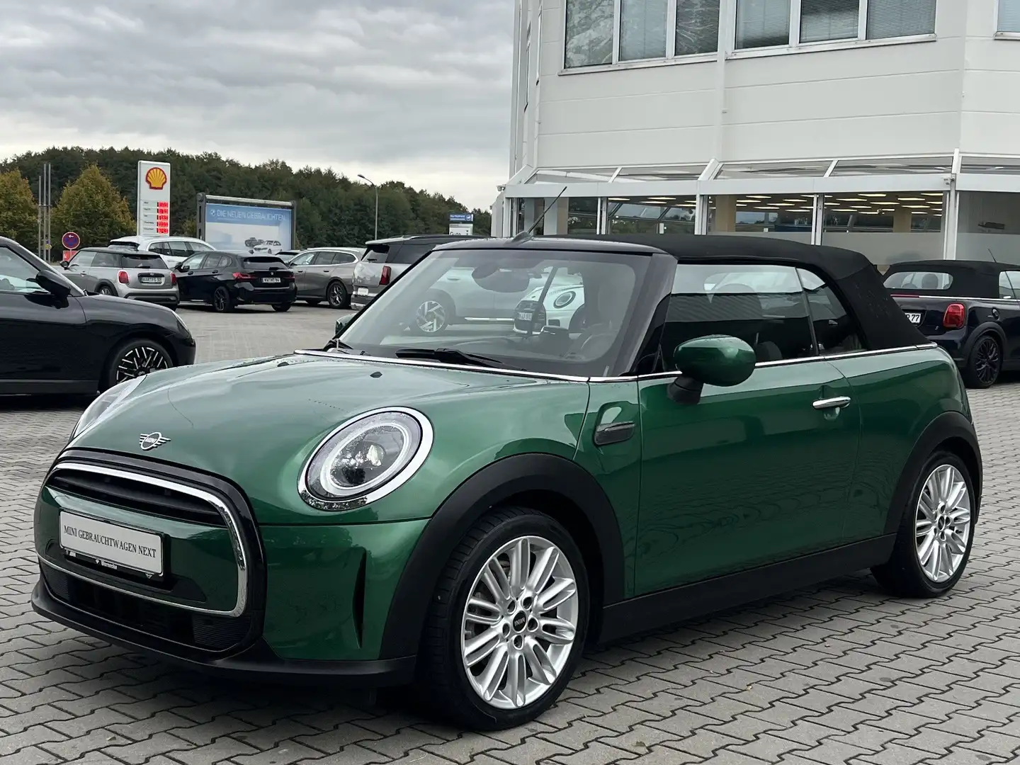 MINI Cooper Cabrio Cooper Cabrio DAB LED Komfortzg. Tempomat Shz Grün - 2