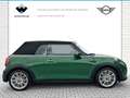 MINI Cooper Cabrio Cooper Cabrio DAB LED Komfortzg. Tempomat Shz Vert - thumbnail 5