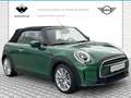 MINI Cooper Cabrio Cooper Cabrio DAB LED Komfortzg. Tempomat Shz Vert - thumbnail 4