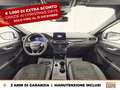 Ford Kuga 1.5 ecoblue st-line x 2wd 120cv auto Alb - thumbnail 10