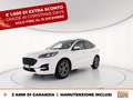Ford Kuga 1.5 ecoblue st-line x 2wd 120cv auto Alb - thumbnail 1