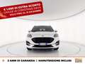 Ford Kuga 1.5 ecoblue st-line x 2wd 120cv auto Alb - thumbnail 2